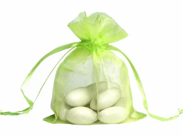 Price Cut 5x7 Mint Sheer Organza Bags -10 pcs