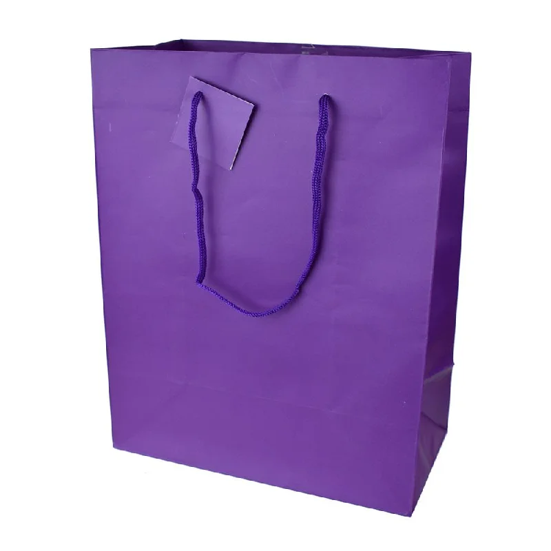 Limited Stock – Get Yours Before It's Gone Large Solid Colored Matte Gift Bag with Tag, Purple, 12-1/2-Inch Limited Stock – Get Yours Before It's Gone Large Solid Colored Matte Gift Bag with Tag, Purple, 12-1/2-Inch